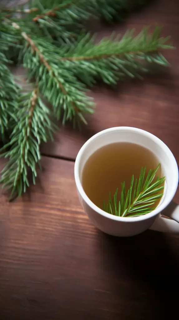 Memory Boost Tea with green tea, ginkgo biloba, and rosemary